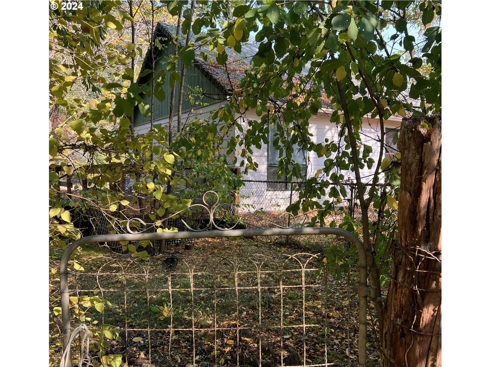 39802 Layng Creek Road Dorena, OR 97434 - Photo 6 of 6