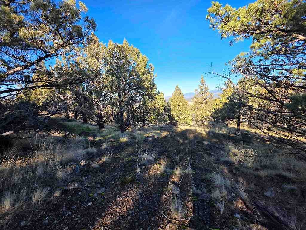 Lot 254 Quail Ridge Street Weed, CA 96094 - Photo 7 of 21 Gallery Image 7