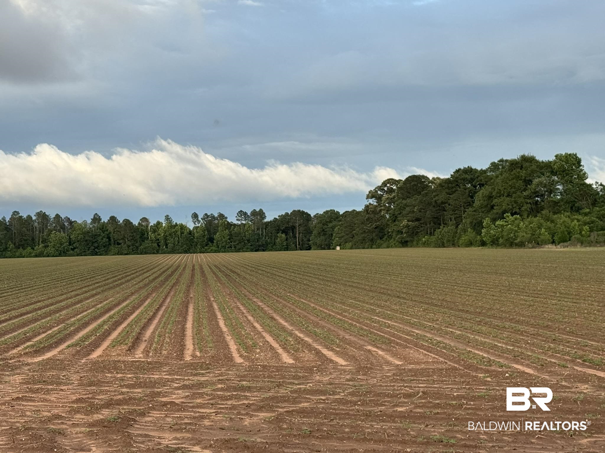 0 Old Stage Road Repton, AL 36475 - Photo 16 of 27 Gallery Image 16