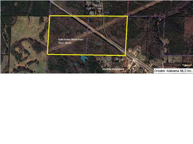 Oak Grove Road, Unit 72AC Lineville, AL 36266 - Photo 6 of 6