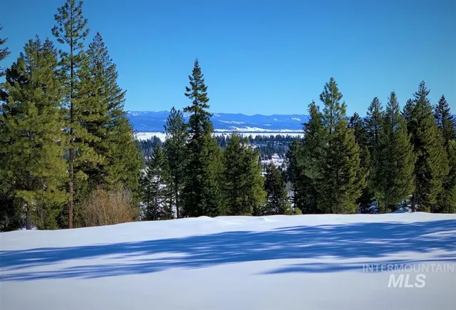 $335,000 | Lot 12 Blackhawk Lake Drive, McCall, ID 83638