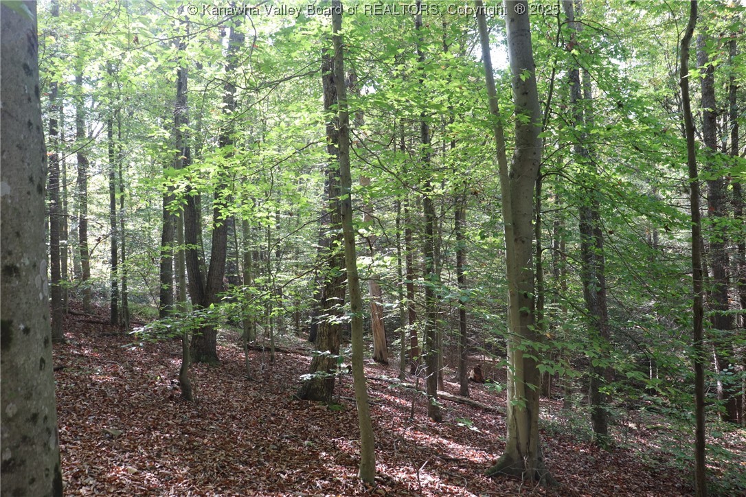 0 Route 26 Road Maysel, WV 25133 - Photo 43 of 46 Gallery Image 43