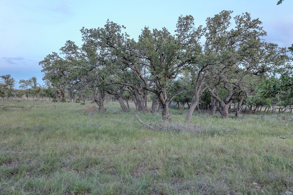 0 Stevens Ranch Road Harper, TX 78631 - Photo 20 of 31 a view of a large yard with lots of green space