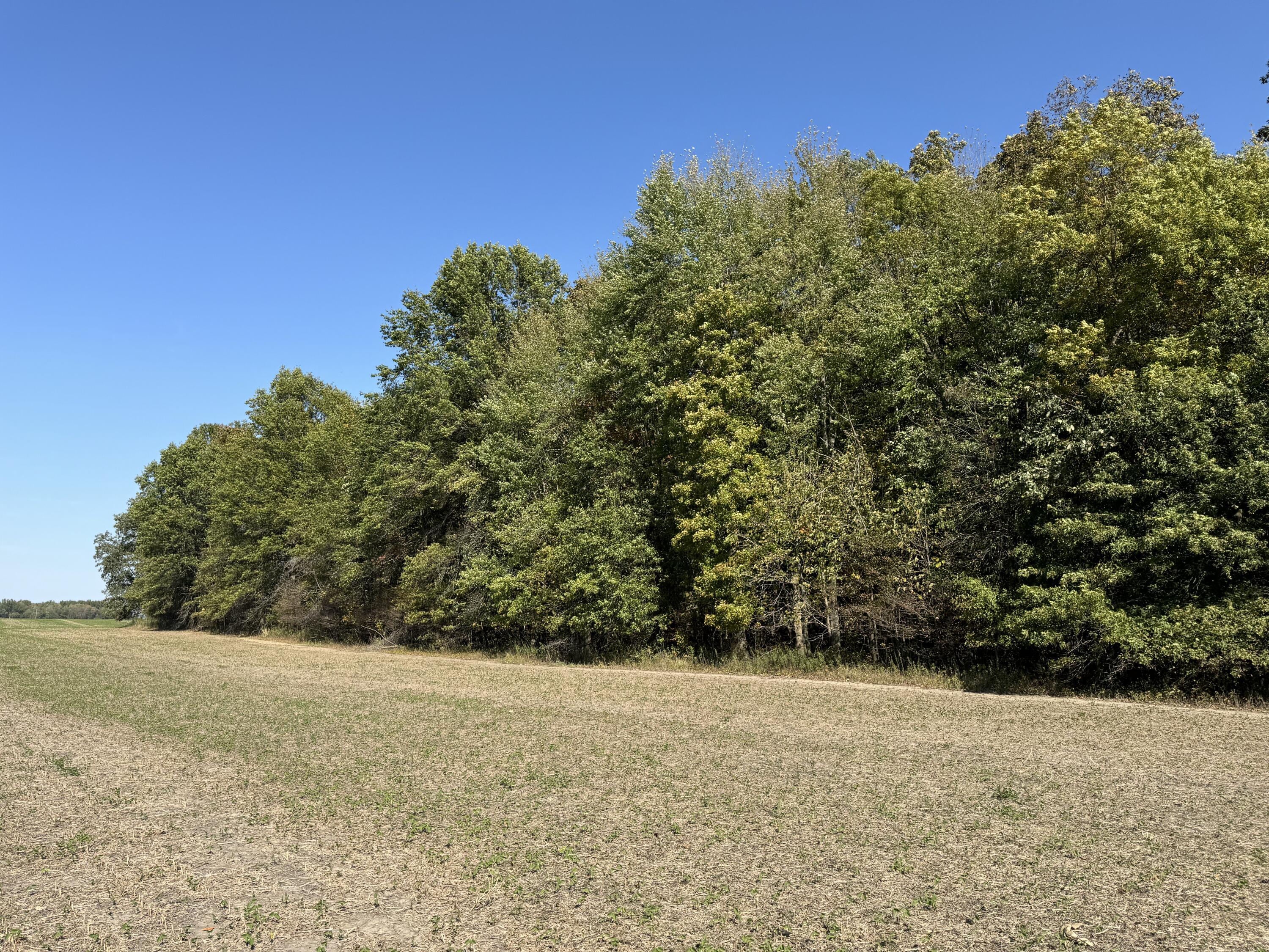 0 Co Road Cardington, OH 43315 - Photo 6 of 12 IMG_0781