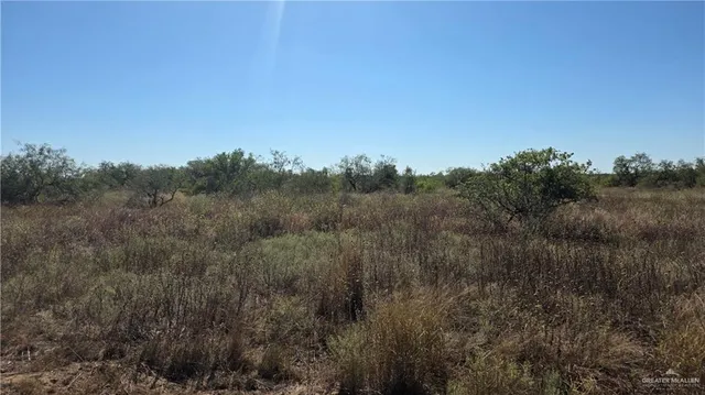 a view of a field of grass and trees