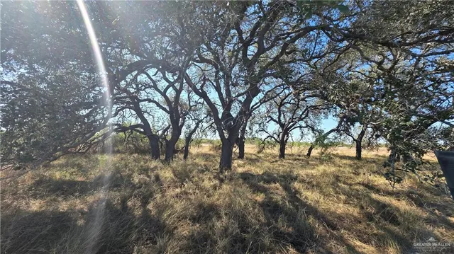 a view of yard with trees