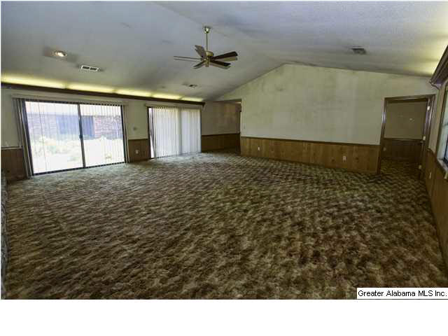 3706 Mt Olive Road Mount Olive, AL 35117 - Photo 6 of 20