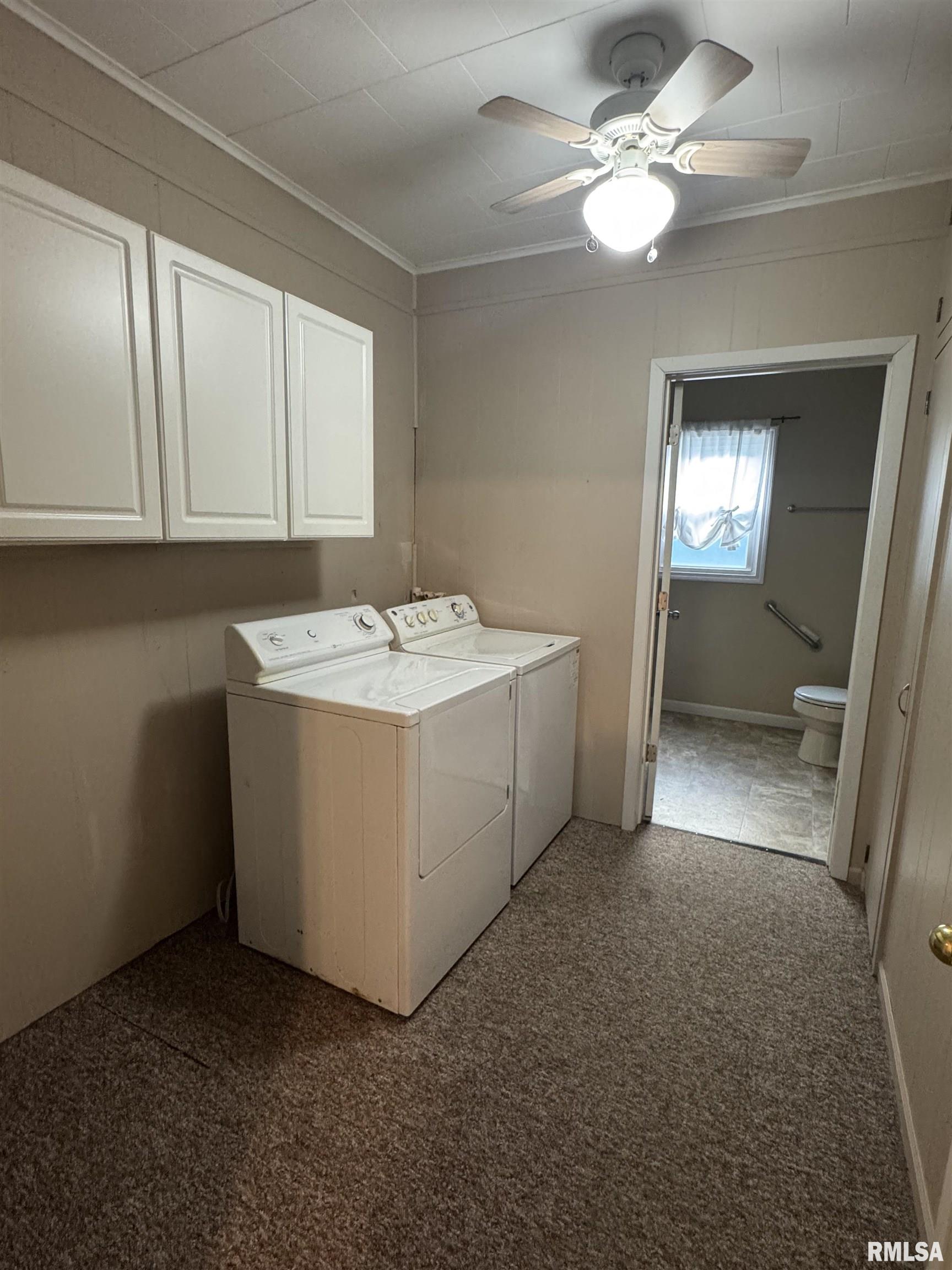 226 Cass Place Canton, IL 61520 - Photo 16 of 41