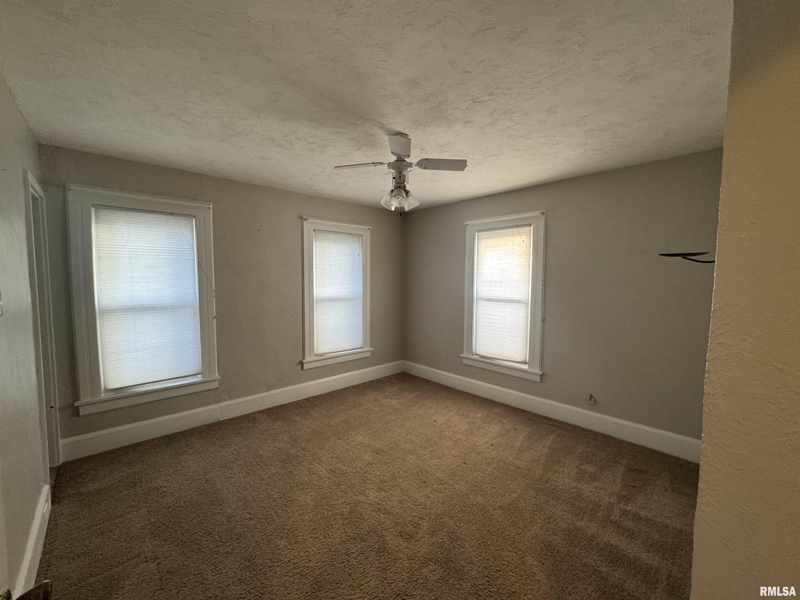 226 Cass Place Canton, IL 61520 - Photo 22 of 41