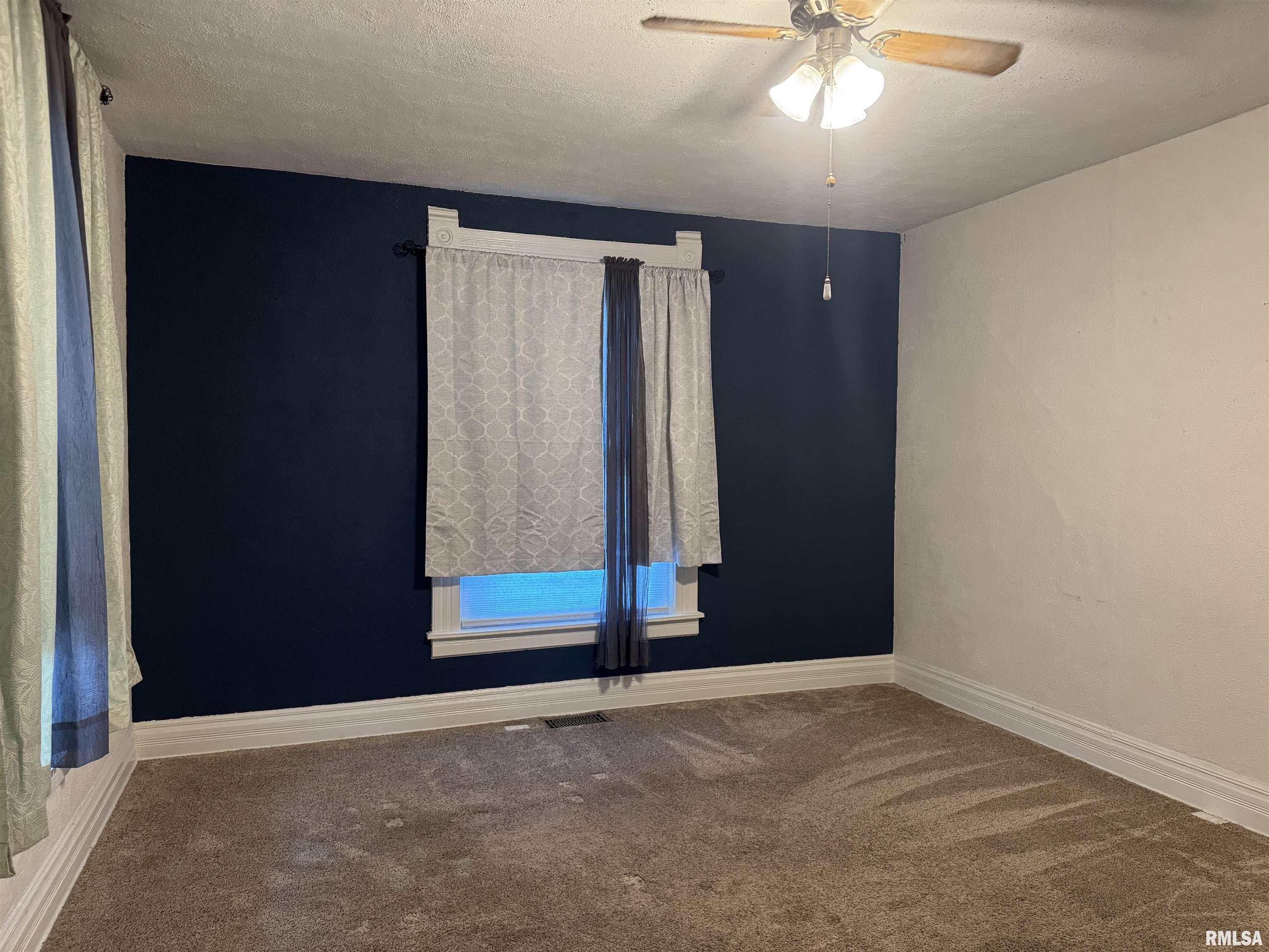 226 Cass Place Canton, IL 61520 - Photo 9 of 41