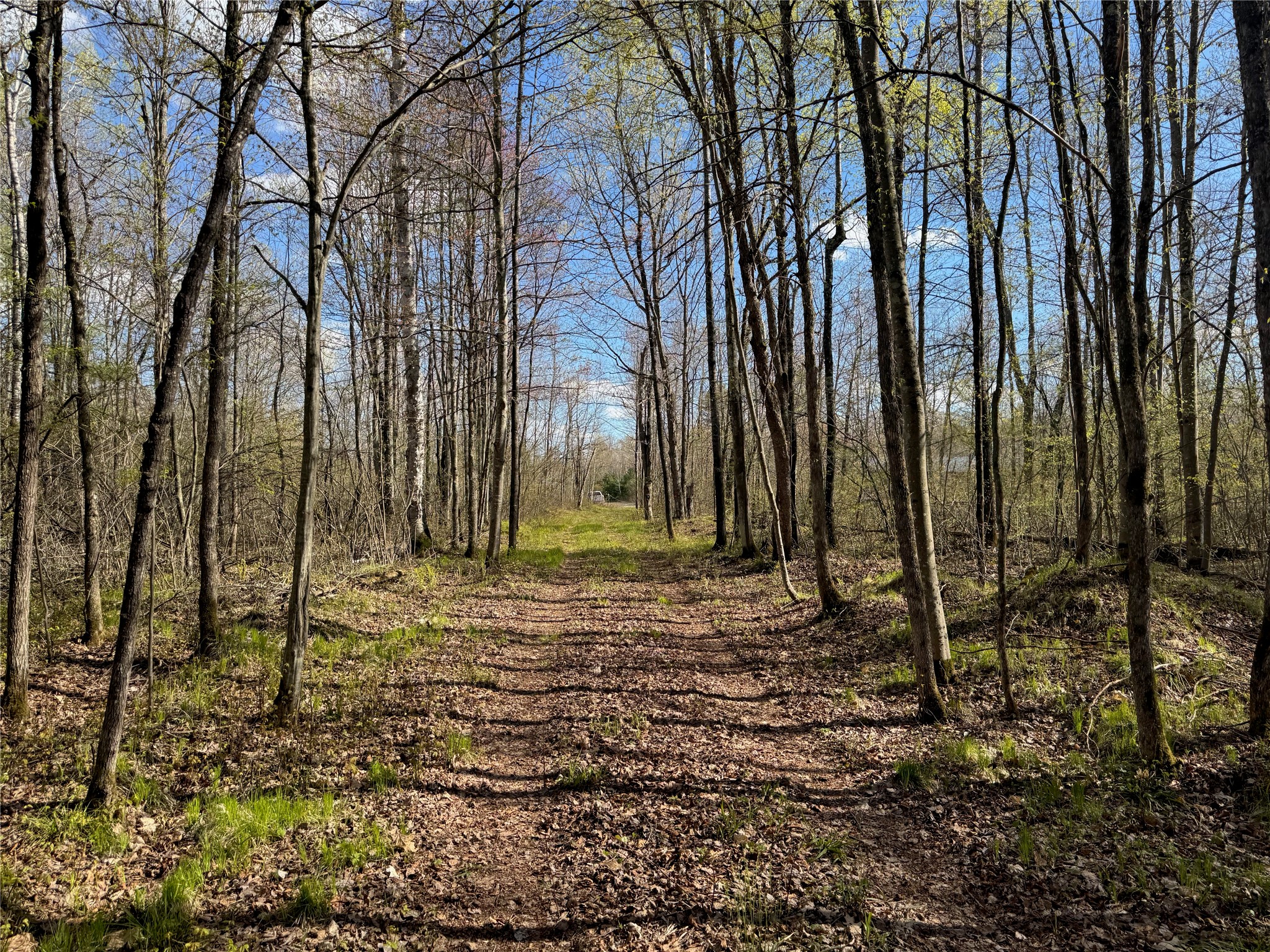 Lot 7 Trapper Trail Hayward, WI 54843 - Photo 20 of 42