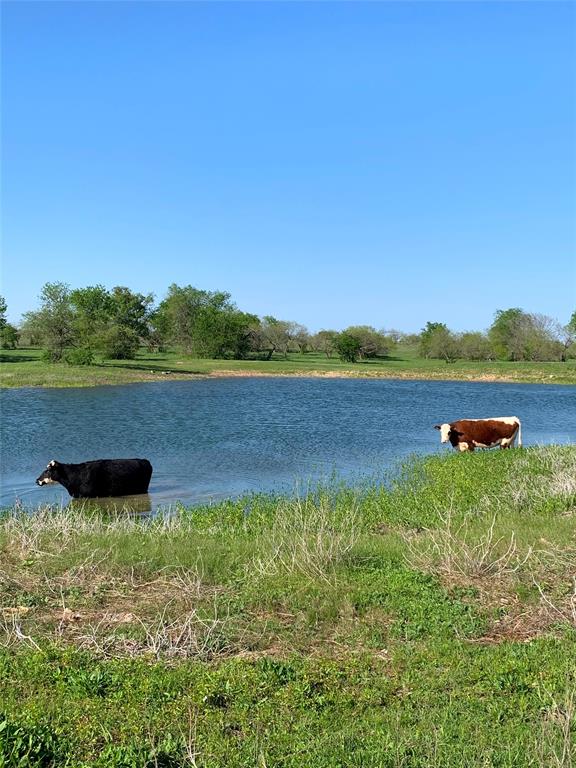 -35 Ac Rattler Hill Road McGregor, TX 76657 - Photo 4 of 37 Gallery Image 4