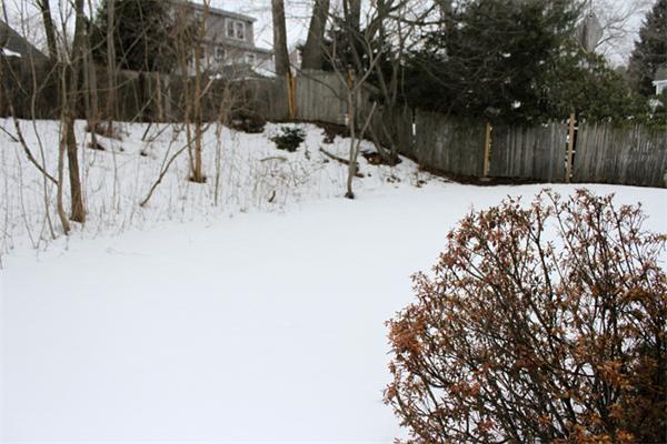 15 Beverly Road Arlington, MA 02474 - Photo 14 of 16 Gallery Image 14