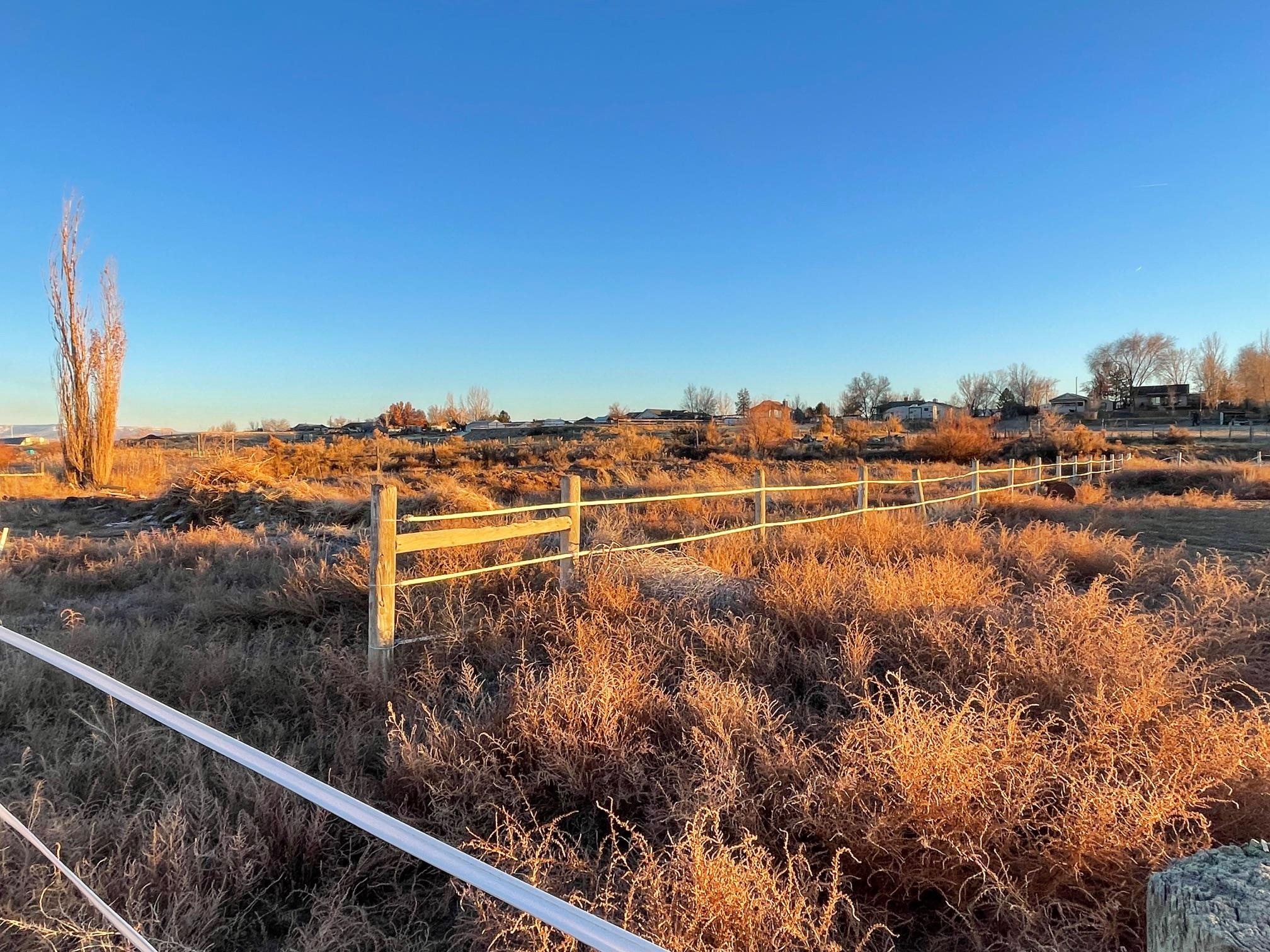 1268-17 17 1/2 Road Fruita, CO 81521 - Photo 13 of 40 a view of a lake and mountain