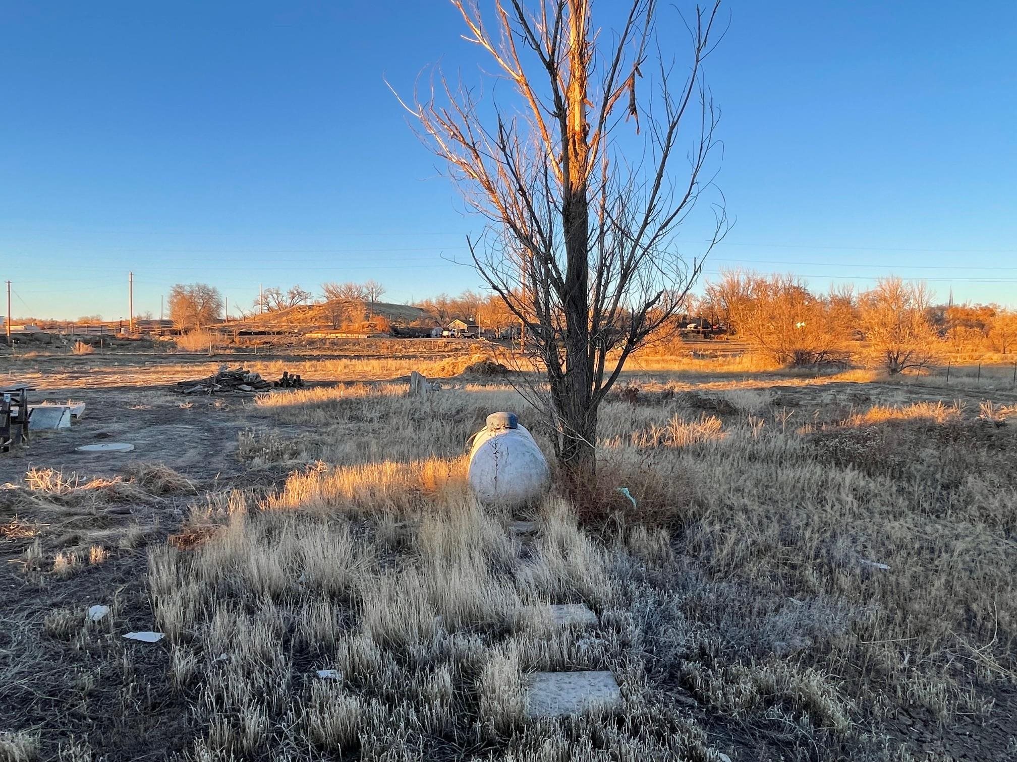 1268-17 17 1/2 Road Fruita, CO 81521 - Photo 17 of 40 a view of a yard