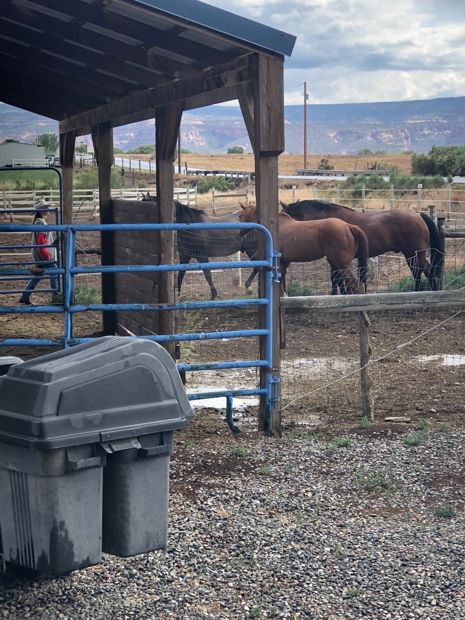 1268-17 17 1/2 Road Fruita, CO 81521 - Photo 32 of 40 a living room with a couch and a table
