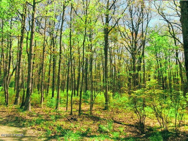 110 Timber Ridge Drive Shohola, PA 18458 - Photo 3 of 5 Lot