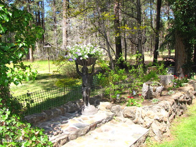 3153 Aspen Loop Pinetop, AZ 85935 - Photo 11 of 44