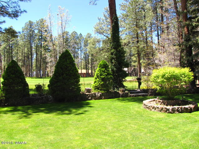 3153 Aspen Loop Pinetop, AZ 85935 - Photo 13 of 44