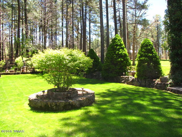 3153 Aspen Loop Pinetop, AZ 85935 - Photo 3 of 44