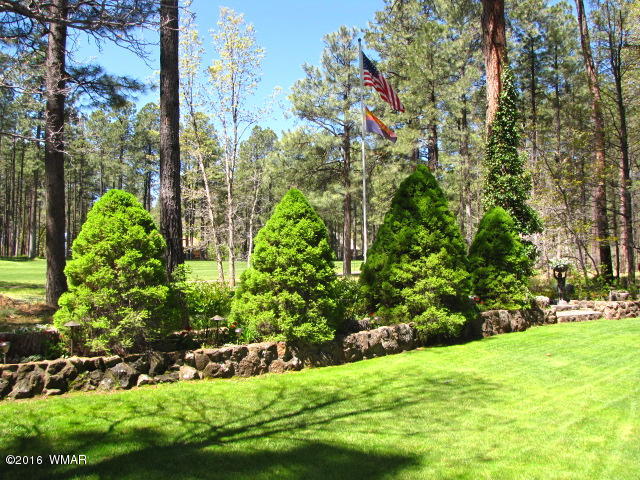 3153 Aspen Loop Pinetop, AZ 85935 - Photo 8 of 44