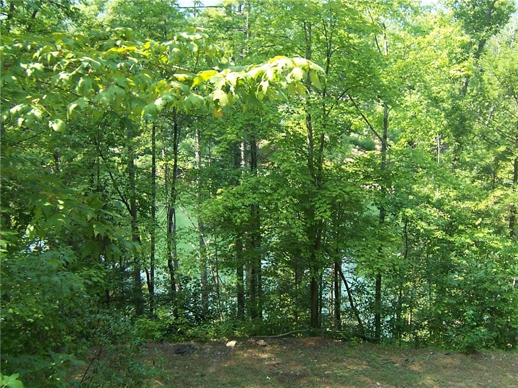 0 Evergreen Ridge Road Tamassee, SC 29686 - Photo 3 of 10 Gallery Image 3