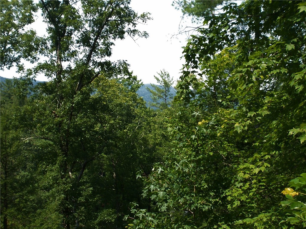 0 Evergreen Ridge Road Tamassee, SC 29686 - Photo 9 of 10 Gallery Image 9