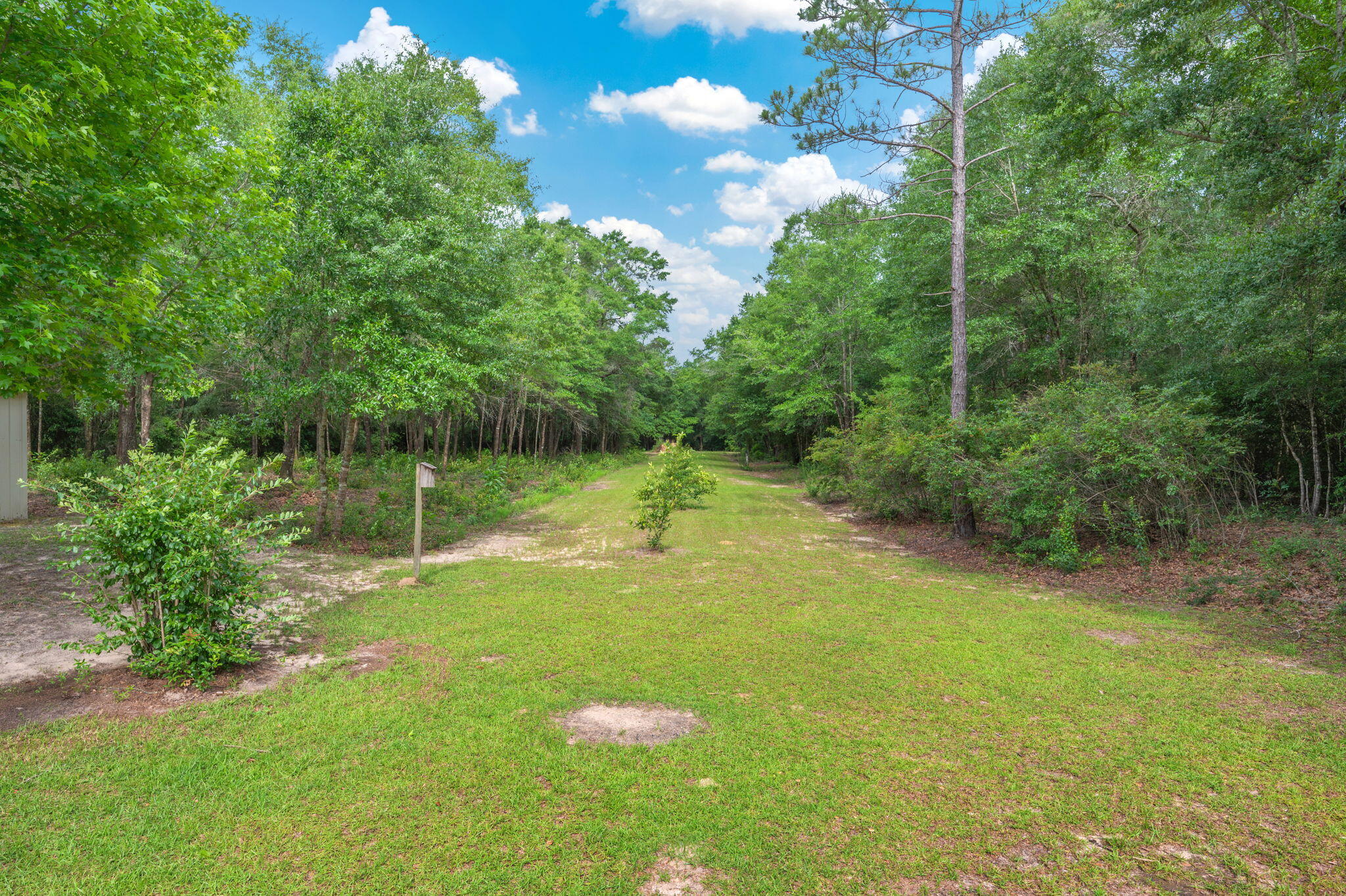 5126 Bone Creek Road Holt, FL 32564 - Photo 48 of 63 51-web-or-mls-5126-bone-creek-rd