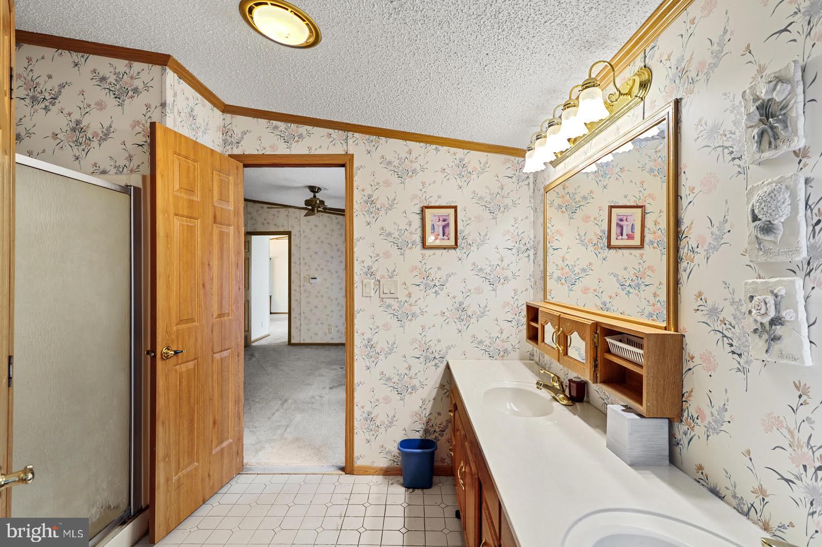 1067 Spectrum Farms Road Felton, DE 19943 - Photo 20 of 27 Main Bath, Double Vanity, Shower