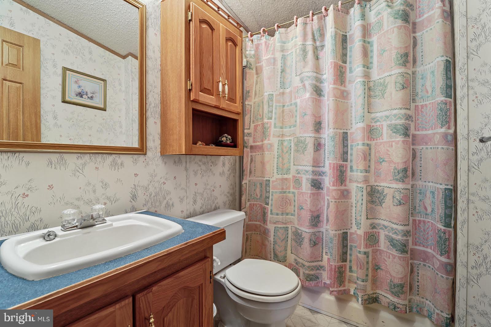 1067 Spectrum Farms Road Felton, DE 19943 - Photo 24 of 27 Hall Bath