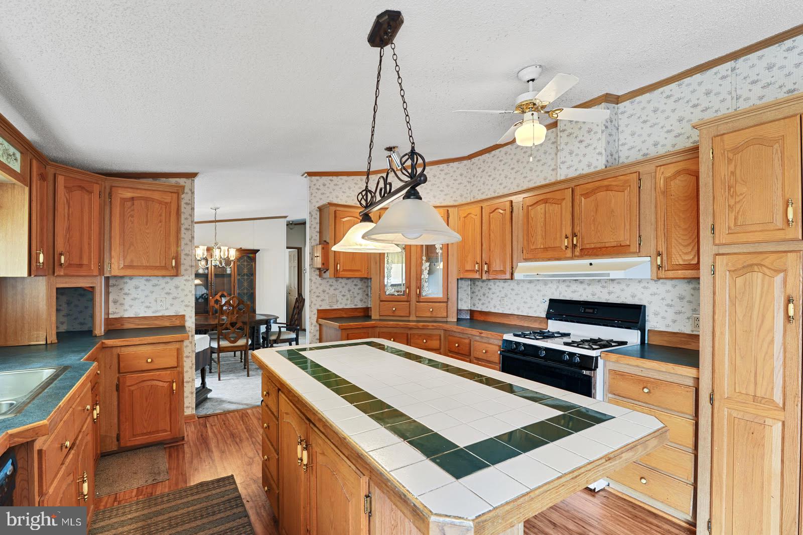 1067 Spectrum Farms Road Felton, DE 19943 - Photo 9 of 27 Loads of Cabinets and Large Center Island