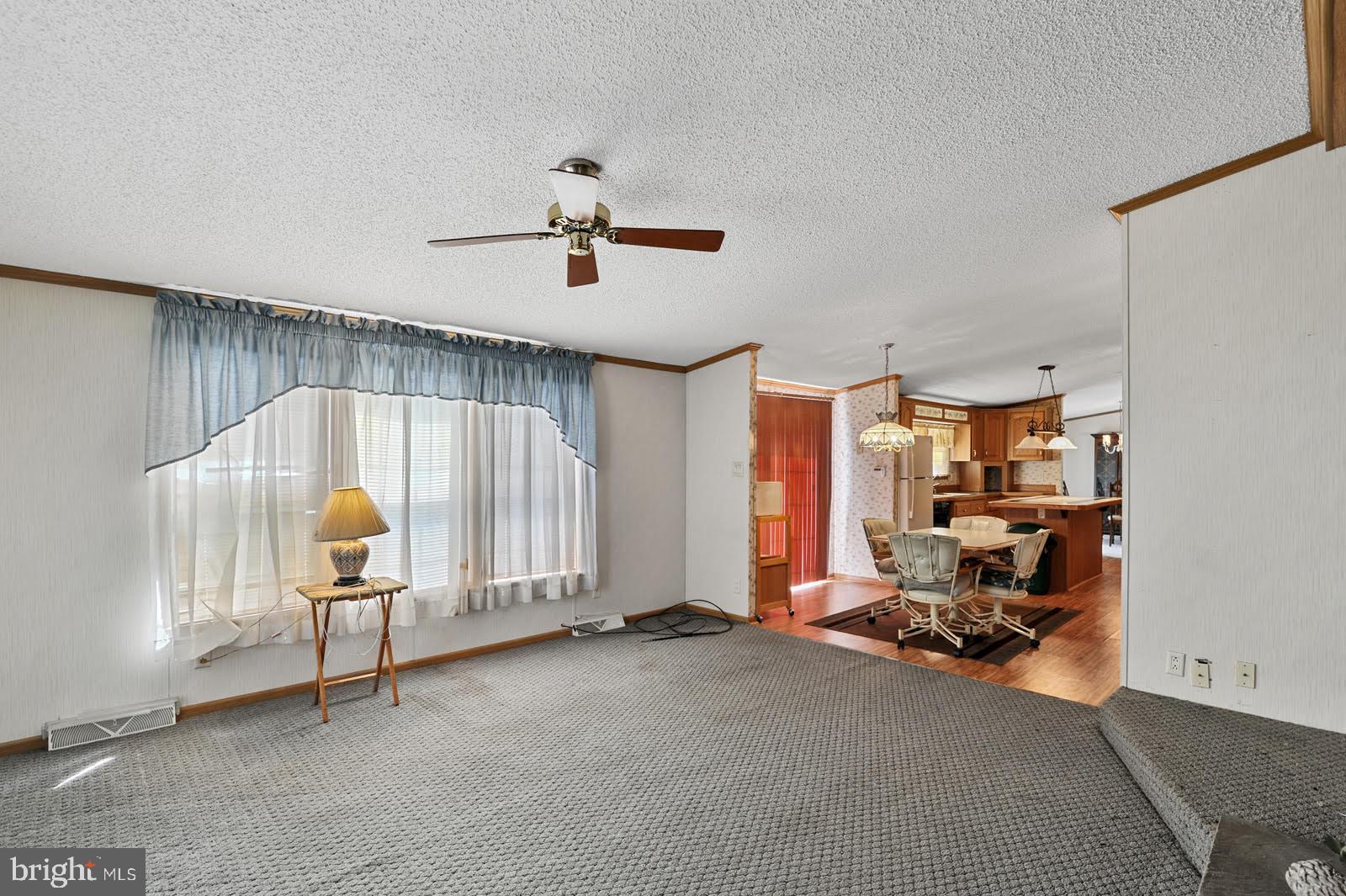 1067 Spectrum Farms Road Felton, DE 19943 - Photo 10 of 27 Family Room, Lg Window for Sunshine/ Natural Light