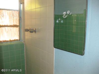 4613 East Almeria Road Phoenix, AZ 85008 - Photo 16 of 21 Master Bathroom