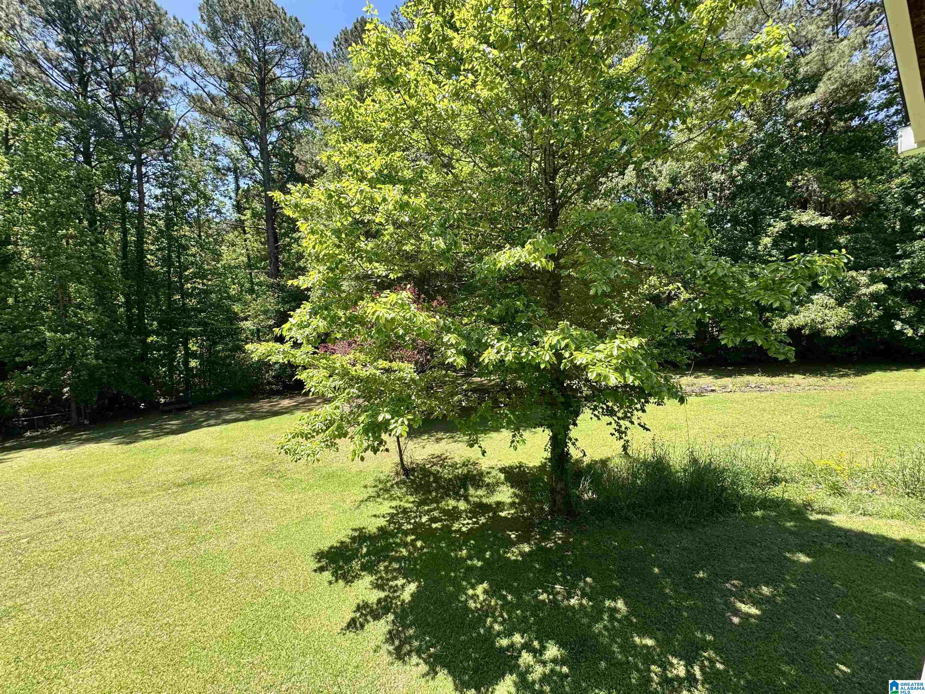 455 Spring Trail Warrior, AL 35180 - Photo 43 of 44