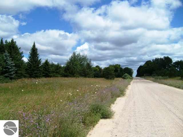 1781 Tyler Road Southeast Kalkaska, MI 49646 - Photo 1 of 25 1729140.JPG