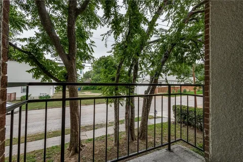 a view of a garden with plants and large trees