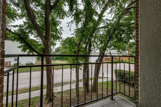 a view of a garden with plants and large trees