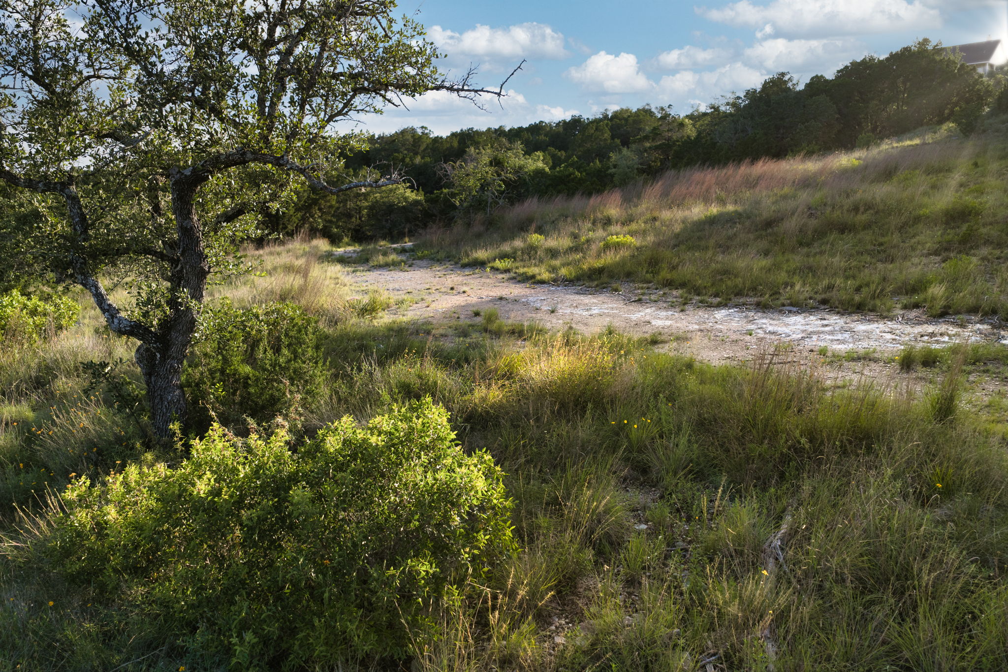 3 Bob Wire Road Spicewood, TX 78669 - Photo 19 of 27 Natural landscape awaits a dream home.