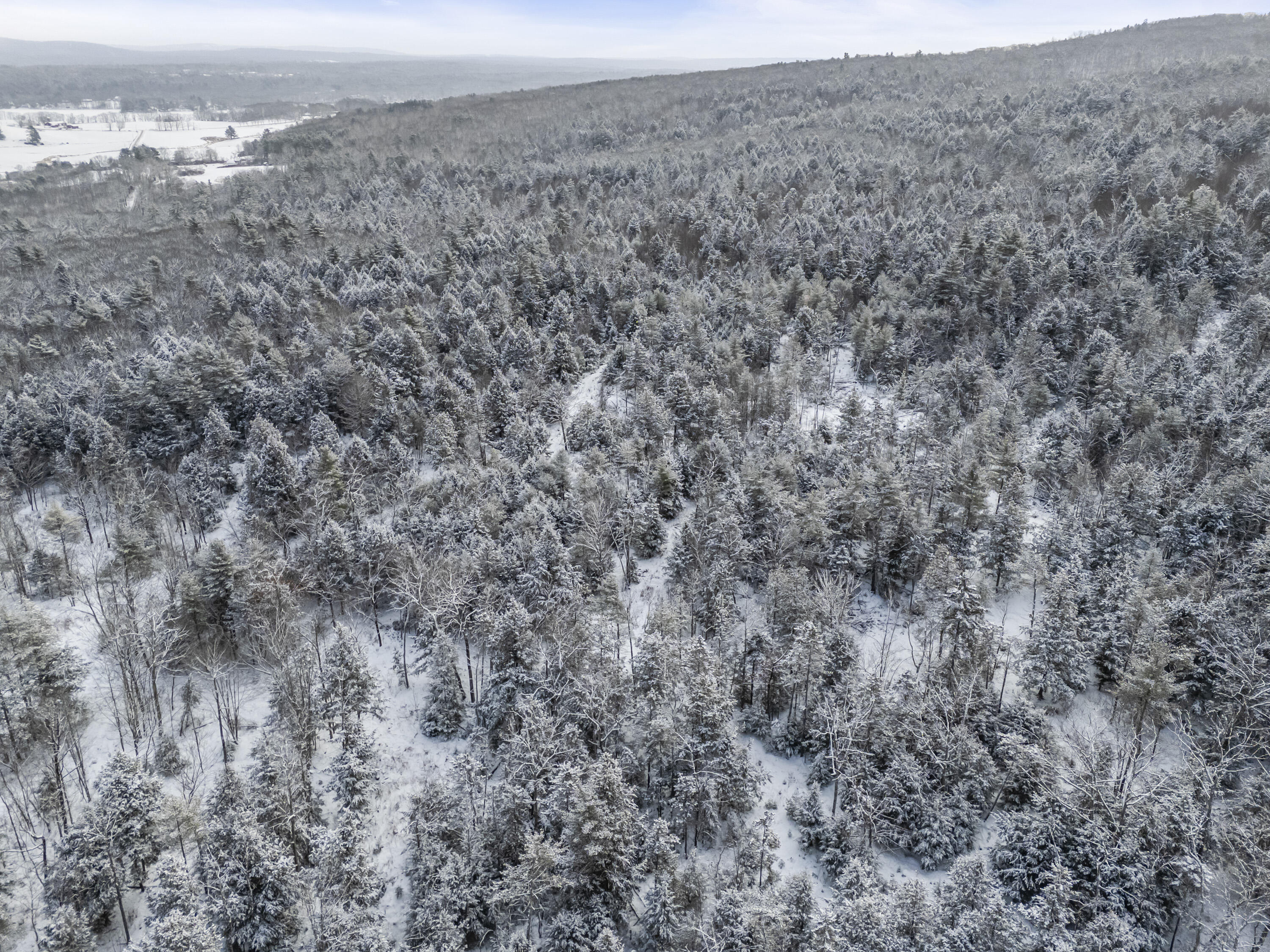 0 Clary Hill Road Union, ME 04862 - Photo 28 of 33 00 Clarry Hill Rd_128