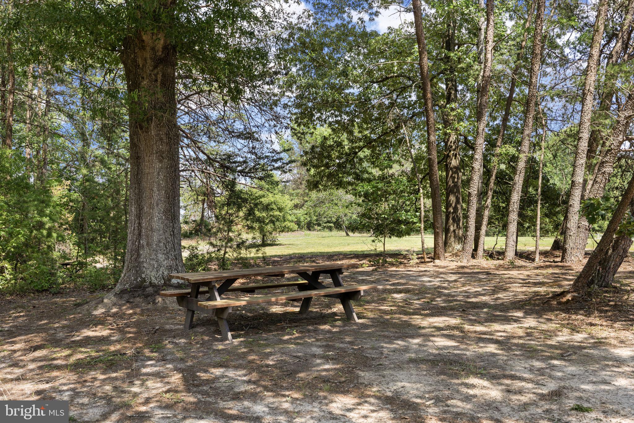 7409 River Road Fredericksburg, VA 22407 - Photo 75 of 140