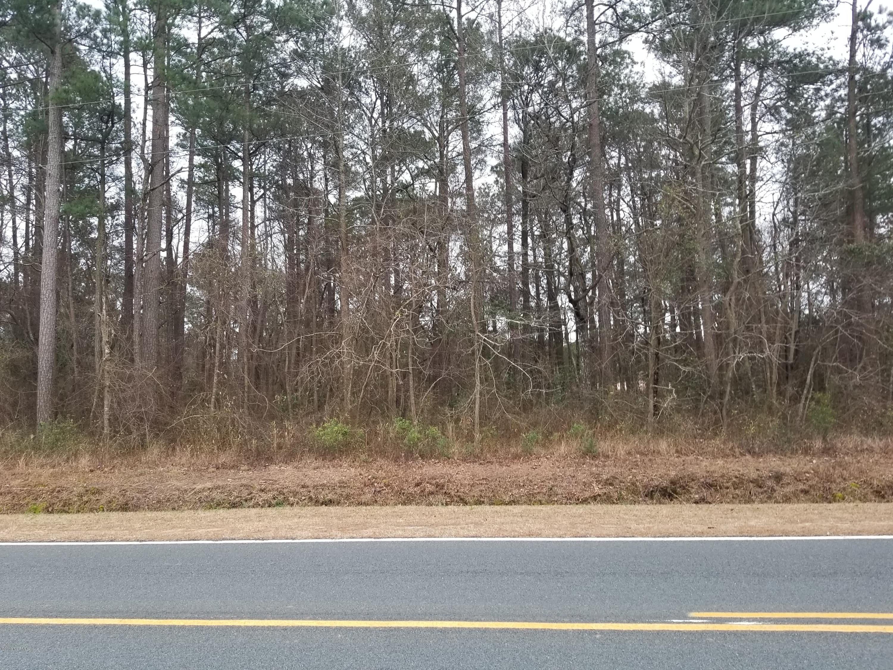 351 P A Pa Nobles Store Road Deep Run, NC 28525 - Photo 1 of 1 main