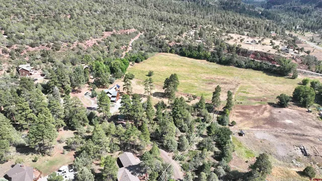 a view of a yard with a tree
