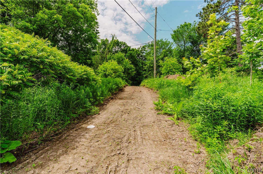 22 County Route Theresa, NY 13691 - Photo 3 of 15