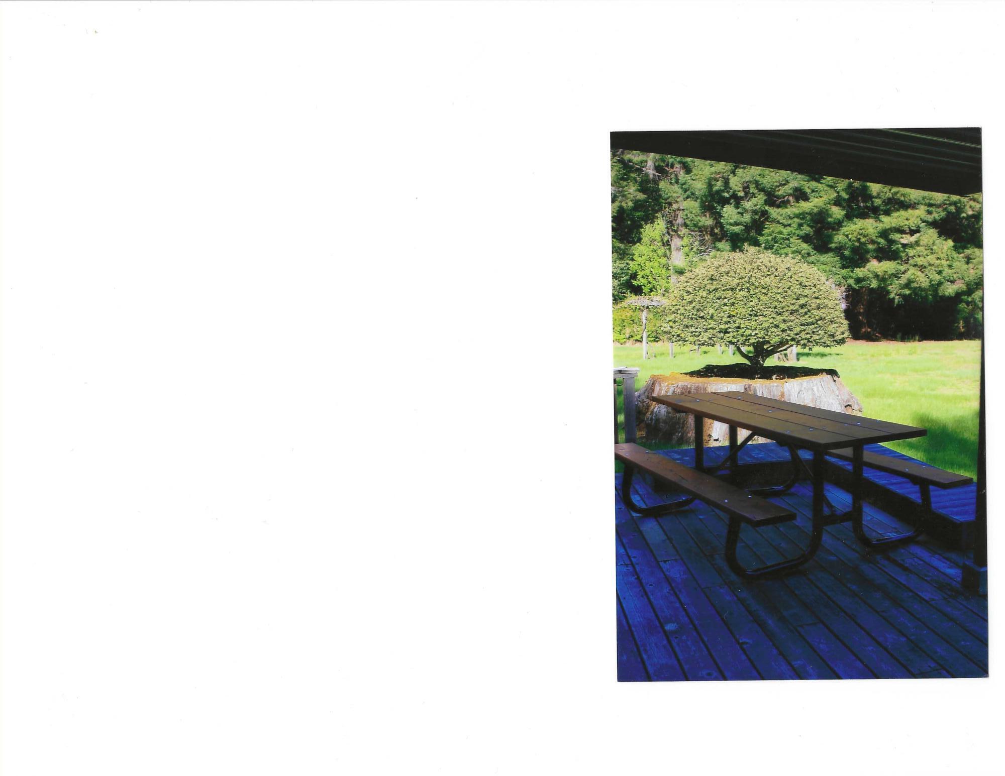 195 Rd A Whitethorn, CA 95589 - Photo 8 of 47 Picnic Table on back deck