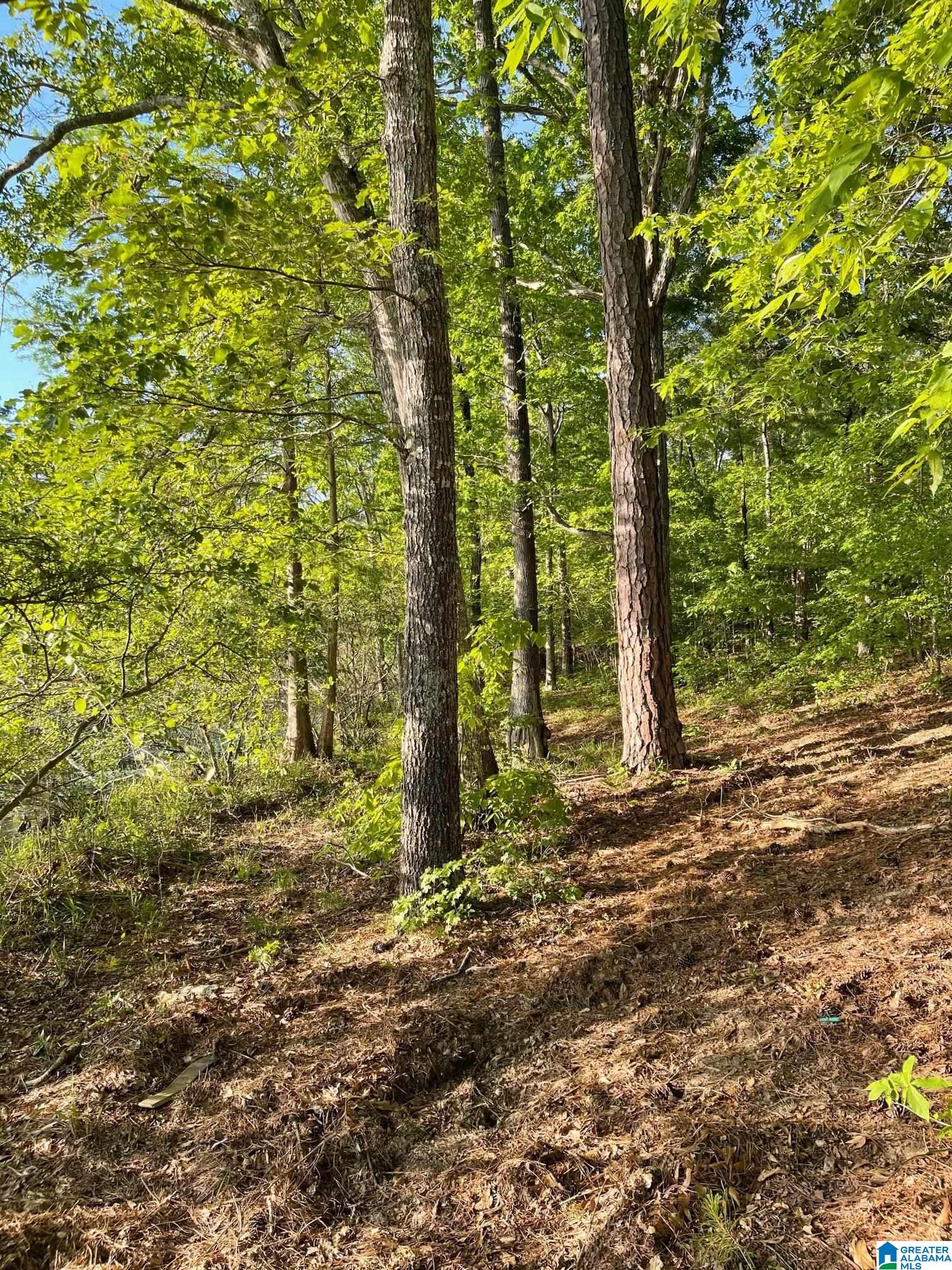 Lot 181 Stillwaters Trail, Unit 181 Sylacauga, AL 35151 - Photo 3 of 3