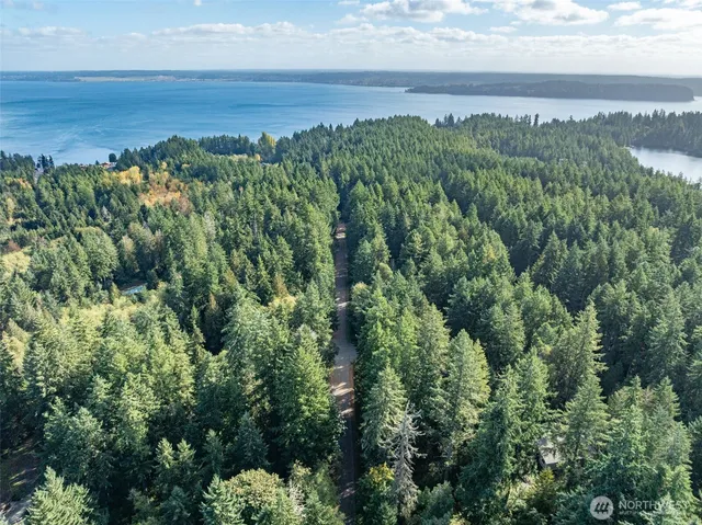 a view of a city with lush green forest