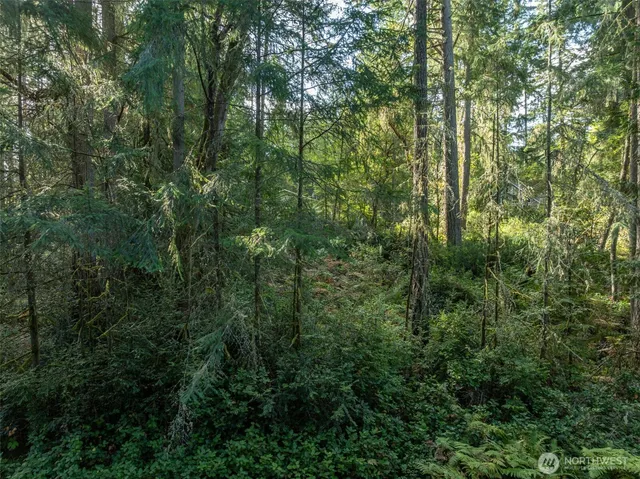 a view of a lake with a house in background