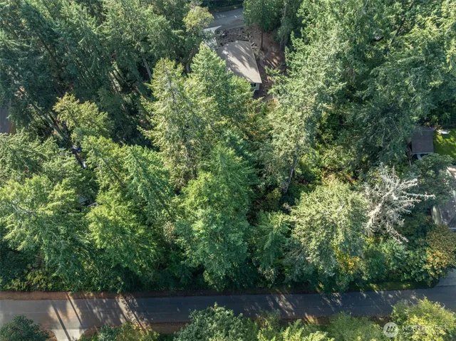 an aerial view of residential houses with outdoor space and trees