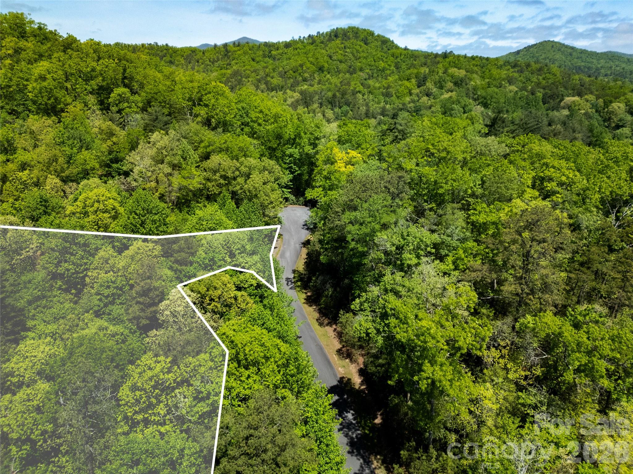 Tbd Springhouse Trail, Unit L15 Brevard, NC 28712 - Photo 6 of 21