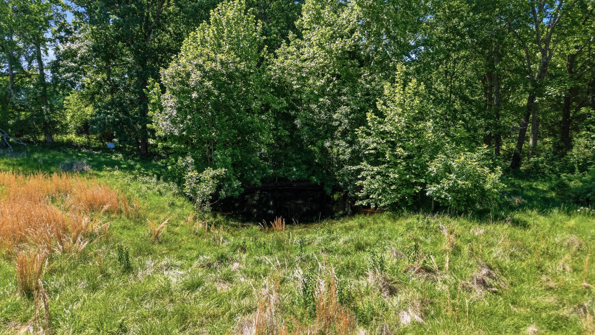 0 Ridgeville Road Tullahoma, TN 37388 - Photo 2 of 3 a view of a garden